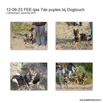 Zevende pup cursus bij Dogtouch met 3 FEE-tjes samen